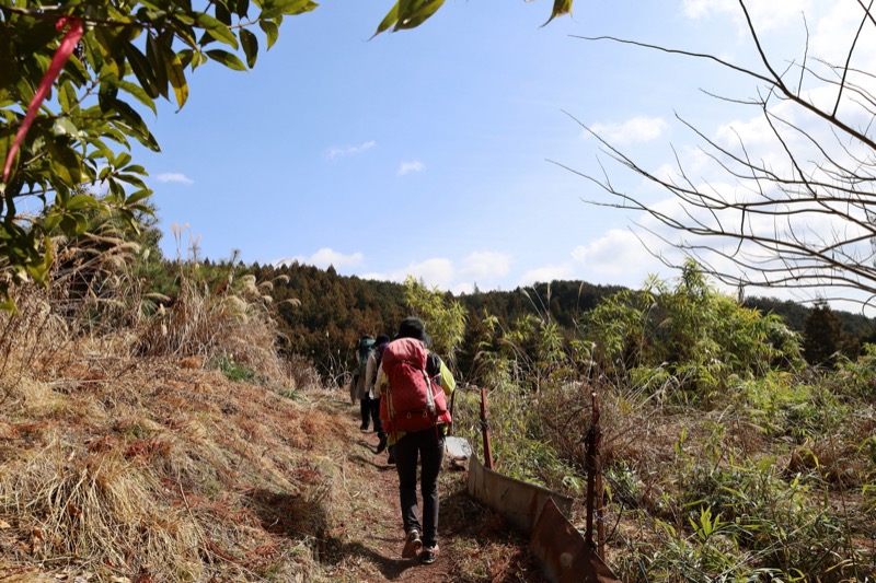 日和田山、物見山